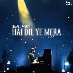 Hai Dil Ye Mera - Lofi