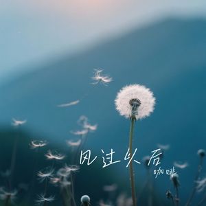 风过以后