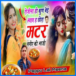 रोजीना ही कुण बेई ल्याव ह छोरा मटर पनीर की भाजी