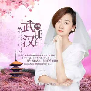 那年武汉 (伴奏)