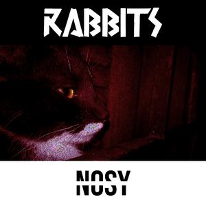 Rabbits // それらを保存する
