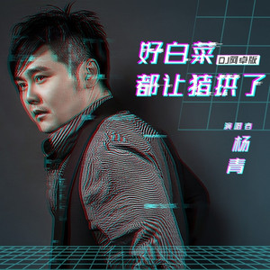 好白菜都让猪拱了 (DJ阿卓版)