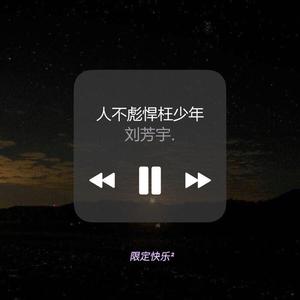 人不彪悍枉少年