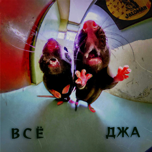 Всё джа