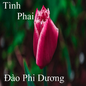 Và từ nay 2