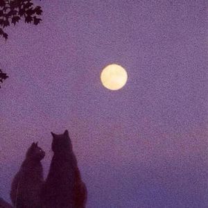 漫长的告白（暗恋橘生淮南主题曲）