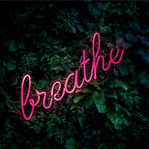 미안해 미워해 사랑해（原版翻唱）