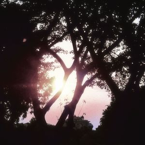 遐想记忆（prod by Drucker ED）