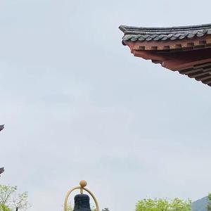 蓝莲花