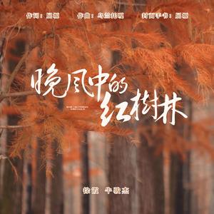 晚风中的红树林（合唱版）