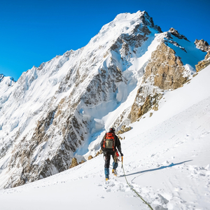 Motivational Momentum