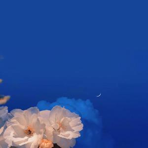 假装（Cover陈雪凝）