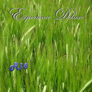 You Brought the Sunshine