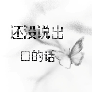 还没说出口的话