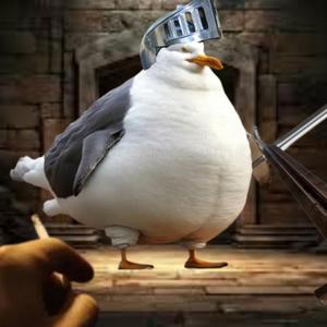 Bird Fight