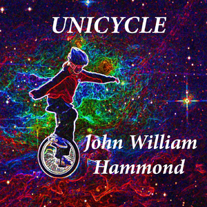 Unicycle