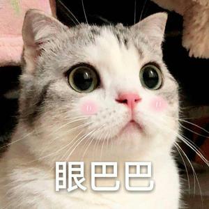 带你去看星河萤火