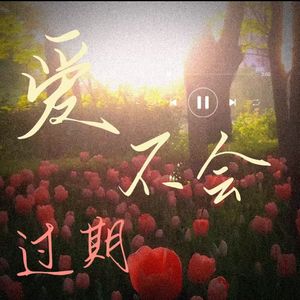 爱不会过期