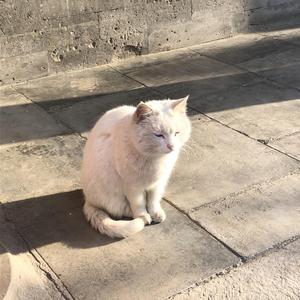 どうして？知らないわ。