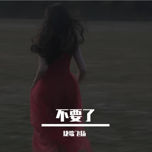 不要了 伴奏
