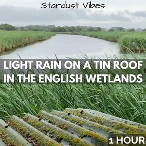 Light Rain on a Tin Roof in the English Wetlands: One Hour