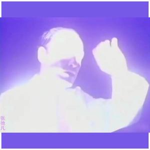 Sam Padrul-我 要 老 伴！（张彵凡 remix）