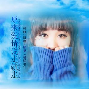 爱情说走就走