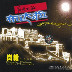 月光下的布达拉