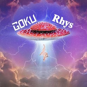 Five house（GoKu / DJ Rhys新一 remix）