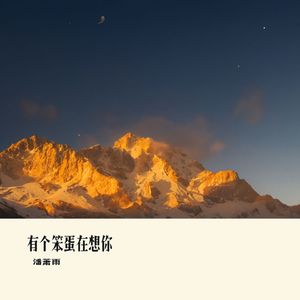 有个笨蛋在想你