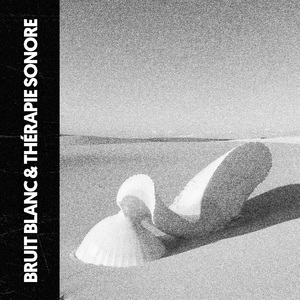 Voyage vers l'extase du silence