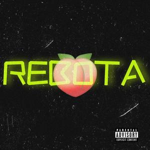 REBOTA