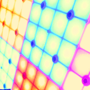 What Are You Waiting For?