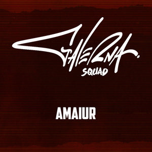 Amaiur