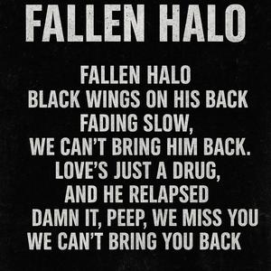 Fallen Halo (for Peep)