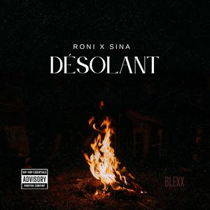 Désolant (feat. Sina)