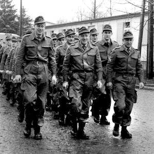 Schwarzbraun ist die Haselnuss