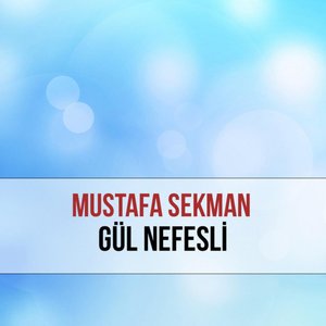 Dağlar Taşlar Yetim