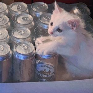 夜莺与玫瑰/Prod By ATTBeat