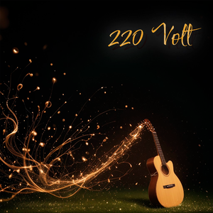 220Volt