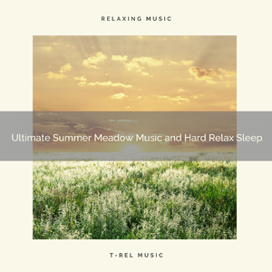Positive Vibes of Summer Meadow Sounds and Hard Relax Sleep