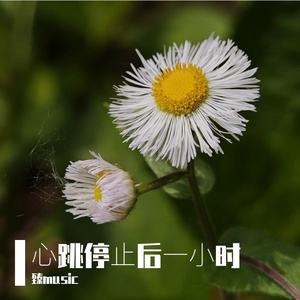 ⼼跳停⽌后⼀⼩时