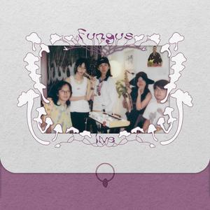 夜雨 (homegrown自家种 live)