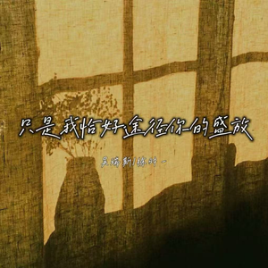 只是我恰好途径你的盛放