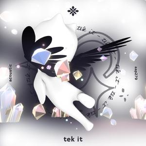 tek it - acoustic