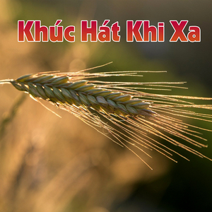 Đà Lạt như thực như mơ