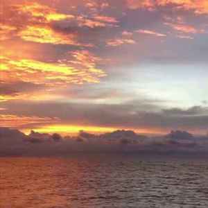 多想在平庸的生活拥抱你