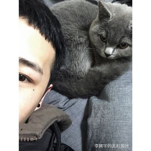 不找了（翻自 郭旭）