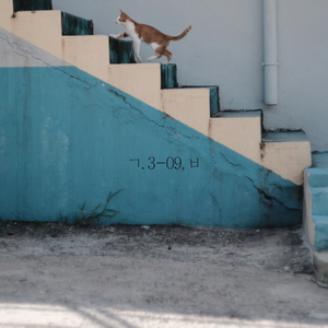 불행은 나의 오랜 벗