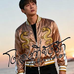 โง่เองที่ยังรักทั้งที่เขาไม่เอา